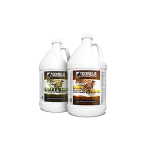 Tile & Stone Cleaning