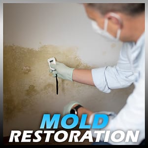 MOLD RESTORATION