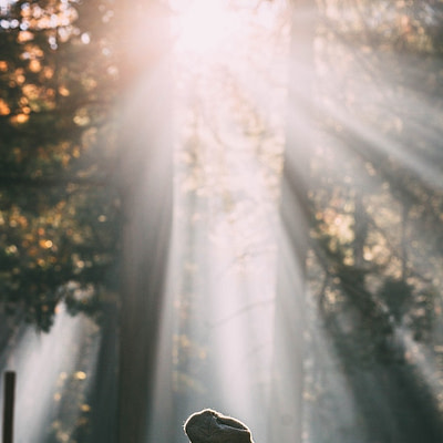 Testimonials-9 best therapy kirkland