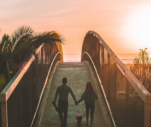 Man and woman holding hands with puppy, walking along a bridge, shrouded in palm trees, heading towards the sunset.