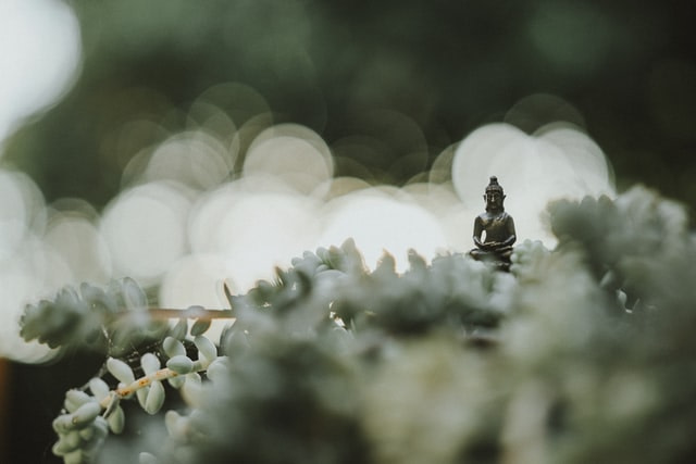 baby buddha statue in flowers