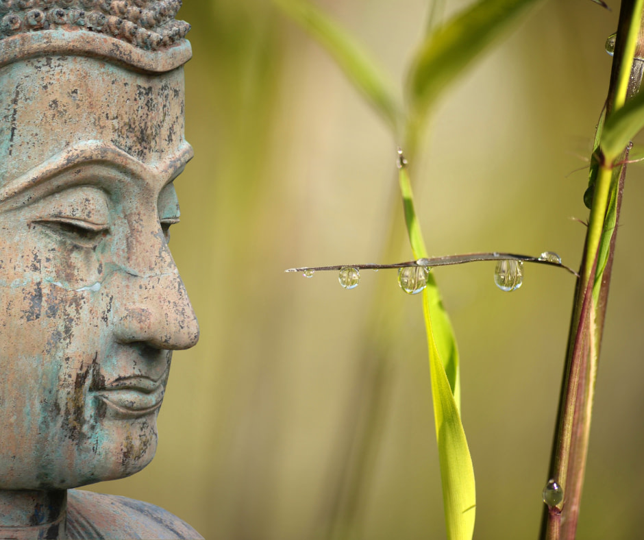 buddha looking at leaf with water droplets