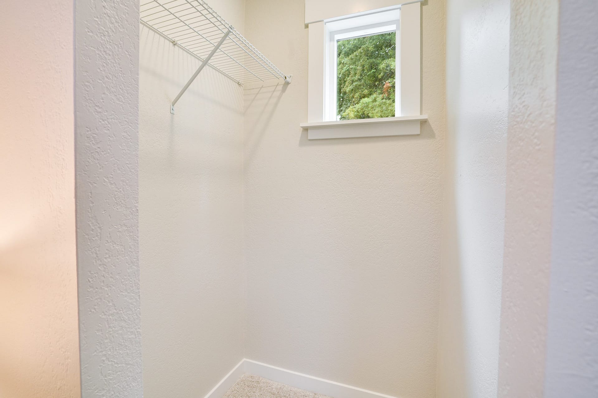 Tacoma Craftsman Remodel Closet